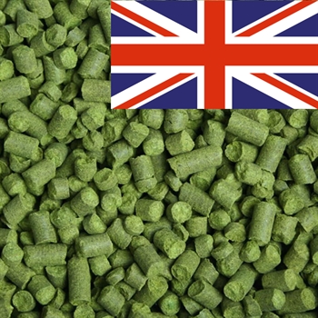 East Kent Goldings 6,1% (2025) - 100 g pellets